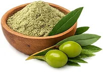 Extrakt z olivových listů — rostlinná složka produktu {{OFFER_NAME}}, bohatá na polyfenoly